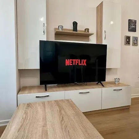 Urban Oasis Magnet * 티라나