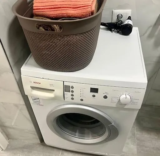 Apartment Urban Oasis Magnet *